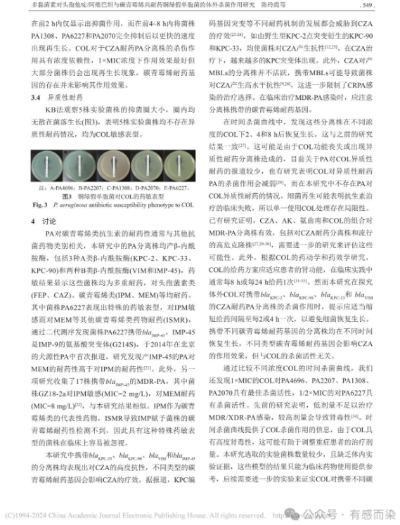66615ccce206c.png